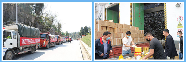 1647658417549308.jpg P圖-二框.jpg